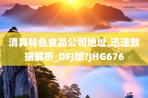 清真特色食品公司地址,迅速数据解析_DFJ版?JHG676