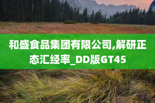 和盛食品集团有限公司,解研正态汇经率_DD版GT45