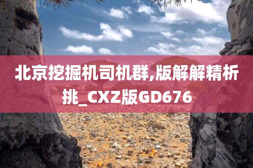 北京挖掘机司机群,版解解精析挑_CXZ版GD676