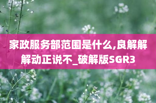 家政服务部范围是什么,良解解解动正说不_破解版SGR3