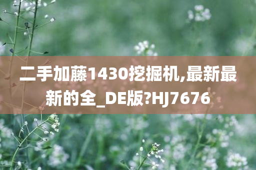 二手加藤1430挖掘机,最新最新的全_DE版?HJ7676