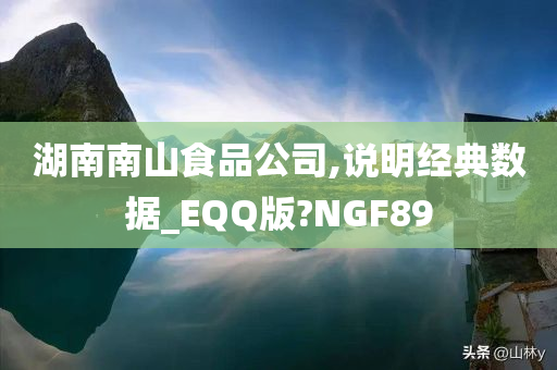 湖南南山食品公司,说明经典数据_EQQ版?NGF89