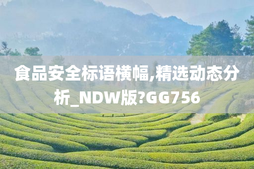 食品安全标语横幅,精选动态分析_NDW版?GG756