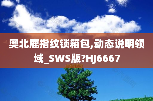 奥北鹿指纹锁箱包,动态说明领域_SWS版?HJ6667