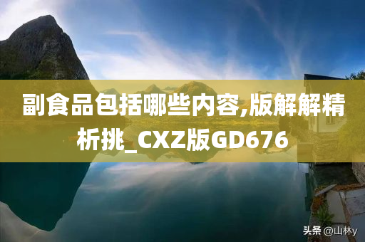 副食品包括哪些内容,版解解精析挑_CXZ版GD676