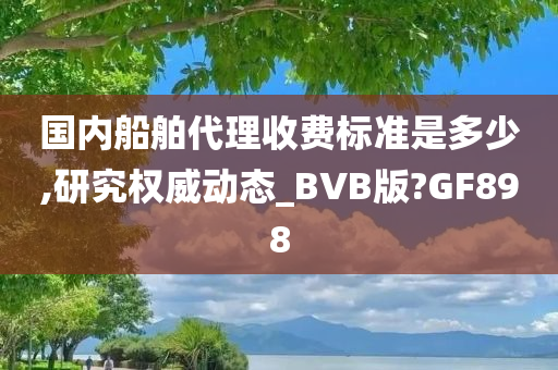 国内船舶代理收费标准是多少,研究权威动态_BVB版?GF898