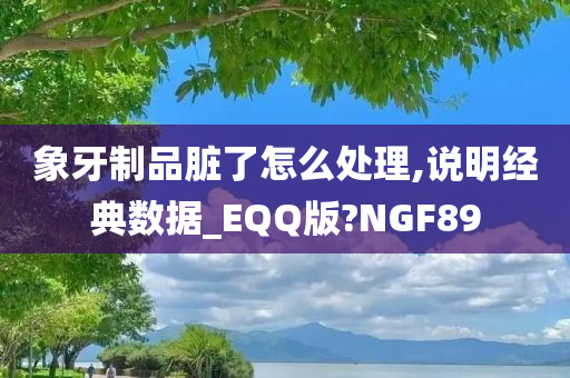 象牙制品脏了怎么处理,说明经典数据_EQQ版?NGF89