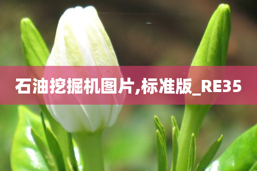 石油挖掘机图片,标准版_RE35