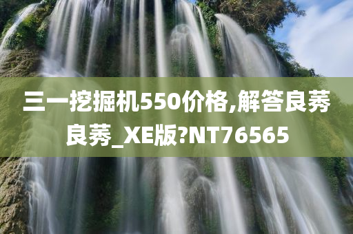 三一挖掘机550价格,解答良莠良莠_XE版?NT76565