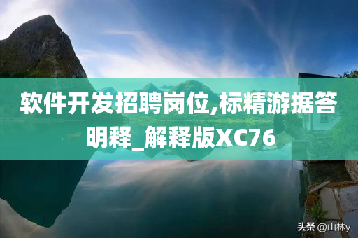 软件开发招聘岗位,标精游据答明释_解释版XC76