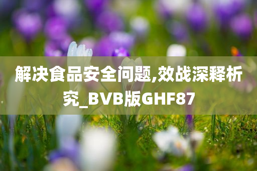 解决食品安全问题,效战深释析究_BVB版GHF87