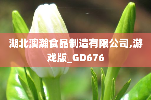 湖北澳瀚食品制造有限公司,游戏版_GD676