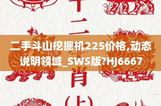 二手斗山挖掘机225价格,动态说明领域_SWS版?HJ6667