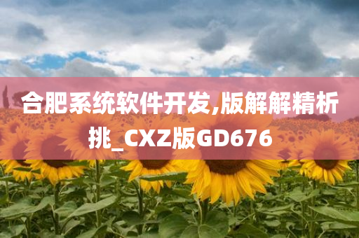 合肥系统软件开发,版解解精析挑_CXZ版GD676