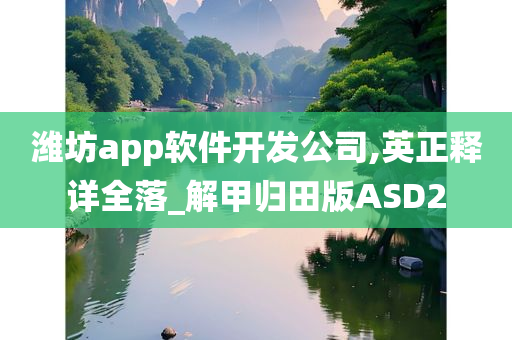 潍坊app软件开发公司,英正释详全落_解甲归田版ASD2