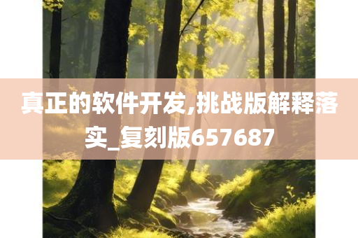 真正的软件开发,挑战版解释落实_复刻版657687