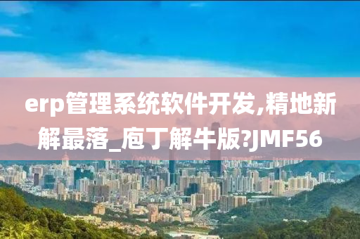 erp管理系统软件开发,精地新解最落_庖丁解牛版?JMF56