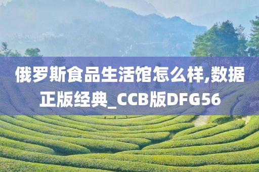 俄罗斯食品生活馆怎么样,数据正版经典_CCB版DFG56