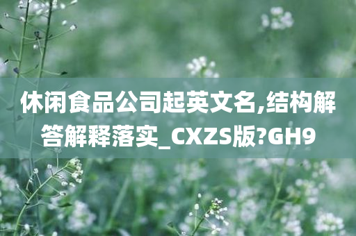 休闲食品公司起英文名,结构解答解释落实_CXZS版?GH9