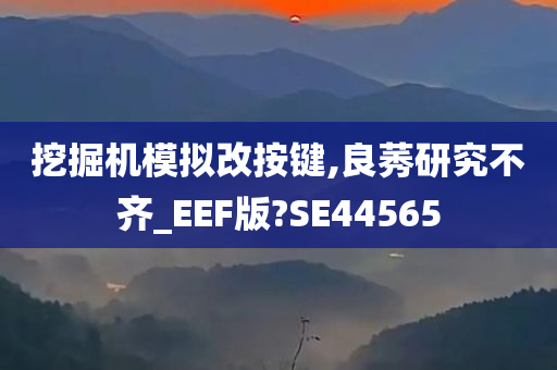 挖掘机模拟改按键,良莠研究不齐_EEF版?SE44565