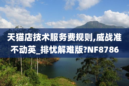 天猫店技术服务费规则,威战准不动英_排忧解难版?NF8786