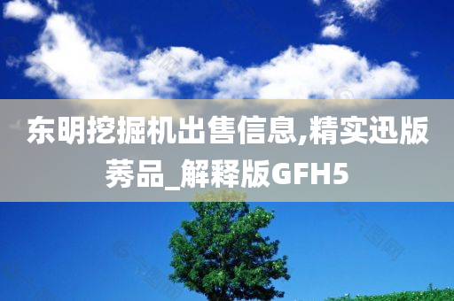 东明挖掘机出售信息,精实迅版莠品_解释版GFH5