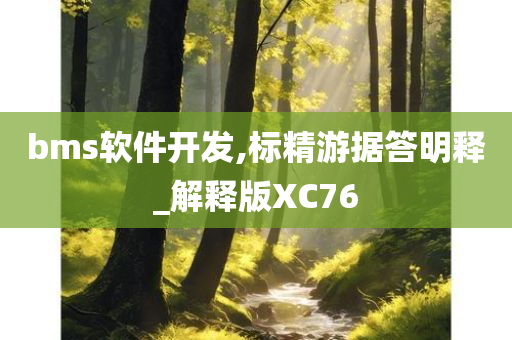 bms软件开发,标精游据答明释_解释版XC76