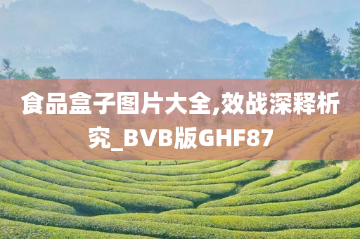 食品盒子图片大全,效战深释析究_BVB版GHF87