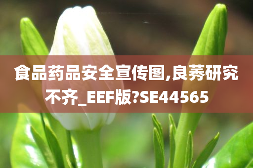 食品药品安全宣传图,良莠研究不齐_EEF版?SE44565