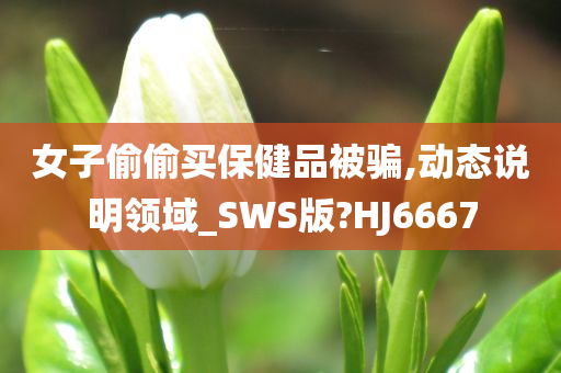 女子偷偷买保健品被骗,动态说明领域_SWS版?HJ6667