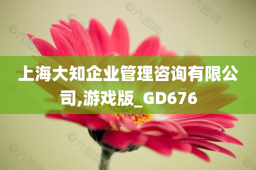 上海大知企业管理咨询有限公司,游戏版_GD676