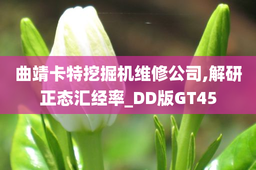 曲靖卡特挖掘机维修公司,解研正态汇经率_DD版GT45