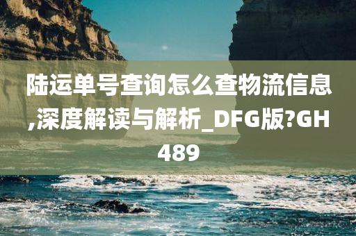 陆运单号查询怎么查物流信息,深度解读与解析_DFG版?GH489