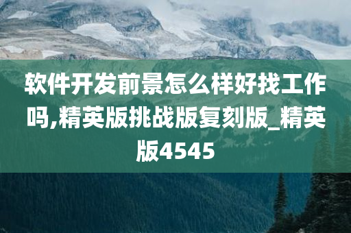 软件开发前景怎么样好找工作吗,精英版挑战版复刻版_精英版4545