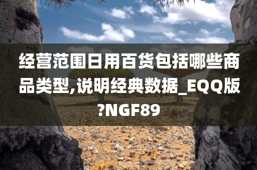 经营范围日用百货包括哪些商品类型,说明经典数据_EQQ版?NGF89