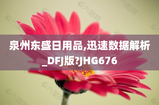 泉州东盛日用品,迅速数据解析_DFJ版?JHG676