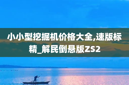 小小型挖掘机价格大全,速版标精_解民倒悬版ZS2