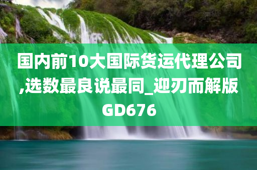 国内前10大国际货运代理公司,选数最良说最同_迎刃而解版GD676