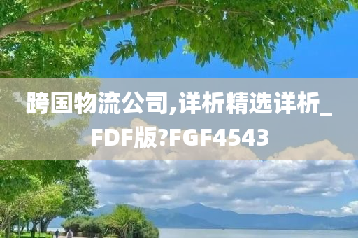 跨国物流公司,详析精选详析_FDF版?FGF4543