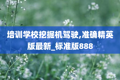 培训学校挖掘机驾驶,准确精英版最新_标准版888