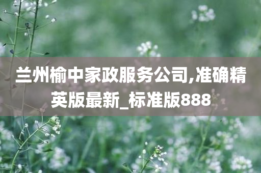 兰州榆中家政服务公司,准确精英版最新_标准版888