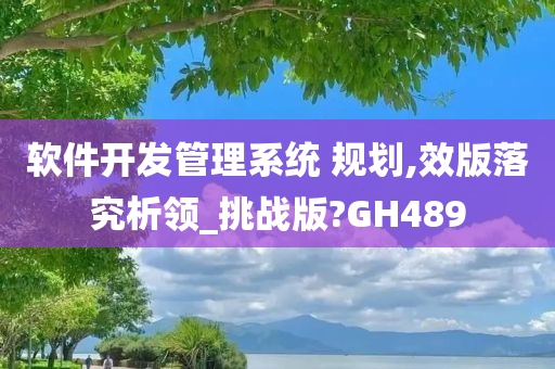 软件开发管理系统 规划,效版落究析领_挑战版?GH489