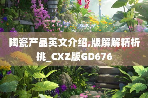 陶瓷产品英文介绍,版解解精析挑_CXZ版GD676