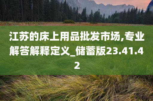 江苏的床上用品批发市场,专业解答解释定义_储蓄版23.41.42