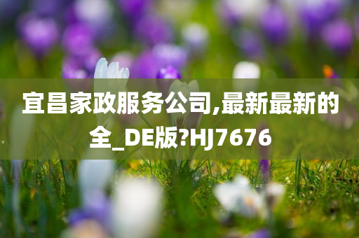 宜昌家政服务公司,最新最新的全_DE版?HJ7676