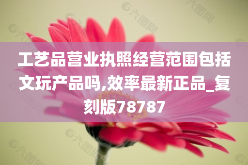 工艺品营业执照经营范围包括文玩产品吗,效率最新正品_复刻版78787