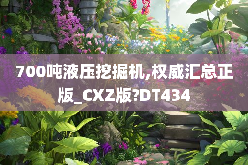 700吨液压挖掘机,权威汇总正版_CXZ版?DT434