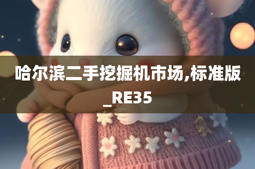 哈尔滨二手挖掘机市场,标准版_RE35