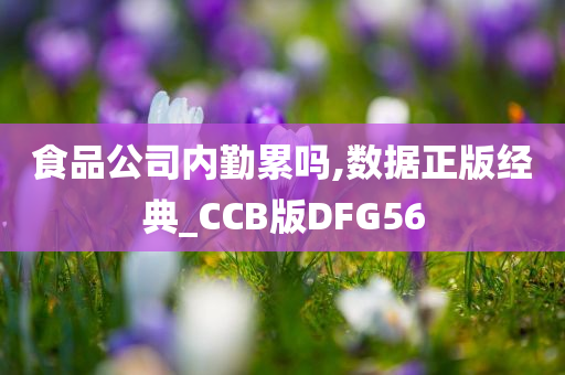 食品公司内勤累吗,数据正版经典_CCB版DFG56