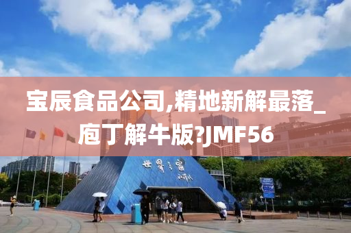 宝辰食品公司,精地新解最落_庖丁解牛版?JMF56